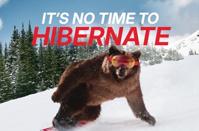 канада, олимпиада, гризли, спорт, реклама