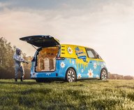 Пчелы, Volkswagen, экология, фургон, путешествие