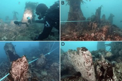 археология, Франция, стена, море, открытие