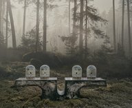 парфюм,природа,аромат,тишина,время