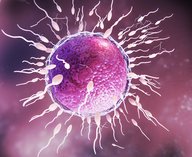 ИИ, роботы, ЭКО, эмбрионы, репродукция