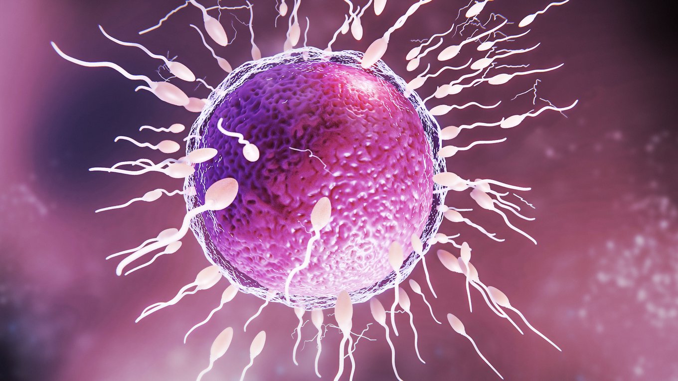 ИИ, роботы, ЭКО, эмбрионы, репродукция