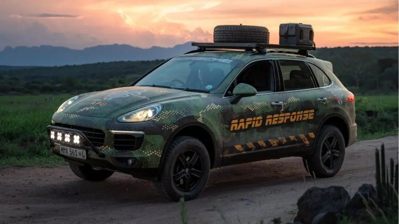носороги, браконьерство, Южная Африка, Porsche, охрана природы