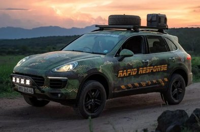 носороги, браконьерство, Южная Африка, Porsche, охрана природы