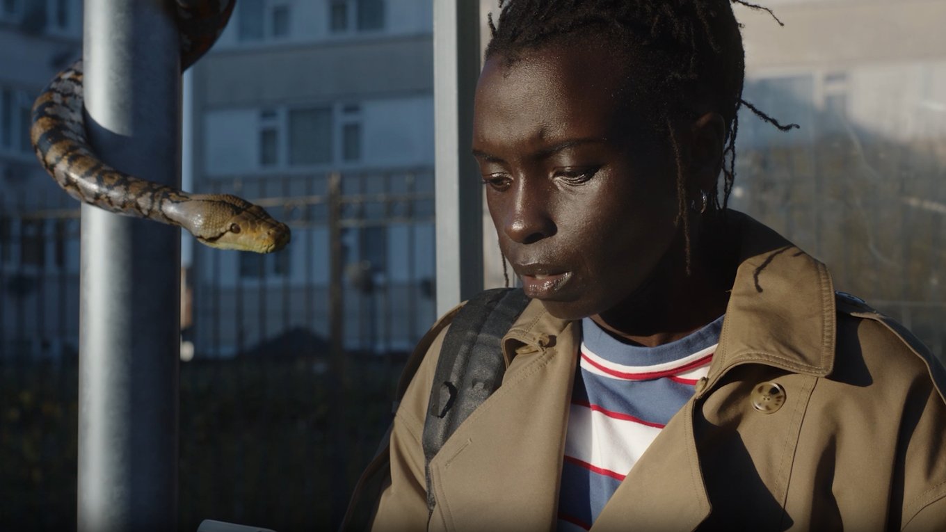 абьюз, насилие, кампания, Великобритания, змеи