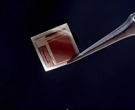 мозг, чип, нейроинтерфейс, технология, WiFi