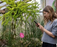 нейросеть, растения, выставка, Кембридж, ботсад