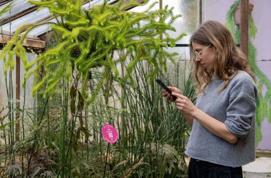 нейросеть, растения, выставка, Кембридж, ботсад