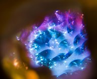 свет, магнитизм, физика, материалы, спинтроника