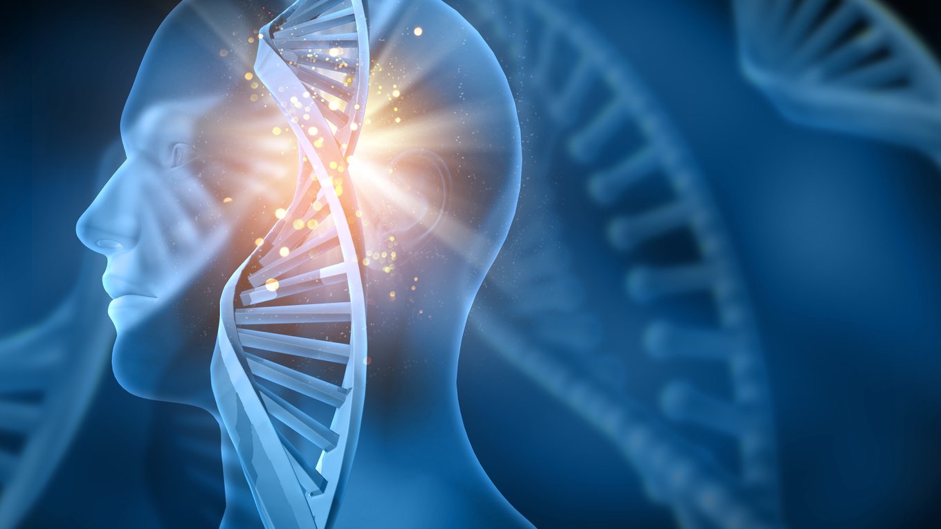 нейрон, система, робот, бионика, технология