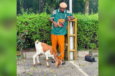 Нигерия, выпускник, коза, соцсети, питомец