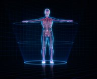 биоидентификация, биотоки, машинное обучение, ВШЭ, протезы