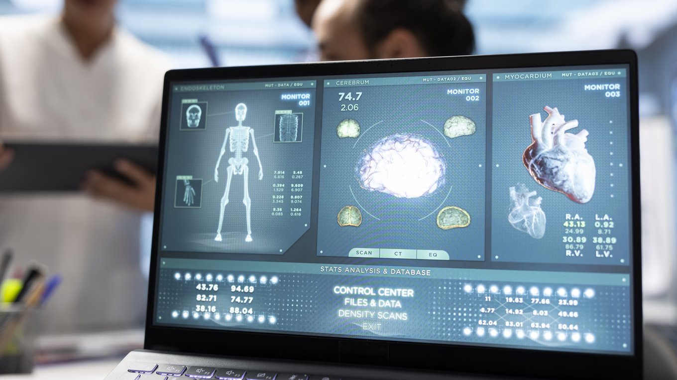 атлас, органы, медицина, 3Dсканирование, синхротрон