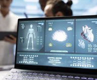 атлас, органы, медицина, 3Dсканирование, синхротрон