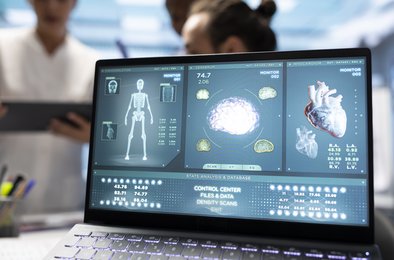 атлас, органы, медицина, 3Dсканирование, синхротрон