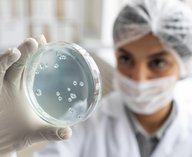 бактерии, опухоли, наука