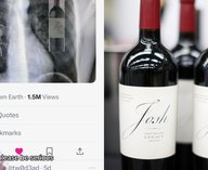 вино, Josh Cellars, мем, продажи, соцсети