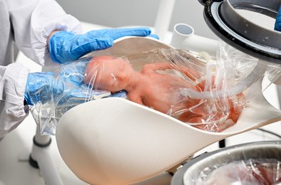 учёные, утроба, дети, технология, Нидерланды