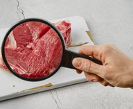 биотехнологии, мясо, бактерии, консерванты, производство