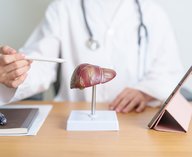 печень, медицина, биопечать, трансплантация, технологии