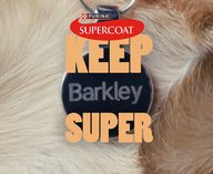 Собаки, реклама, суперспособности, Purina, ролики
