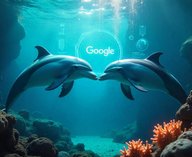 Google создал нейросеть для общения с дельфинами