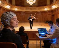 музыка, мозг, ритм, концерт, нейронаука