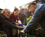 доверие, Швеция, исследование, общество, опрос