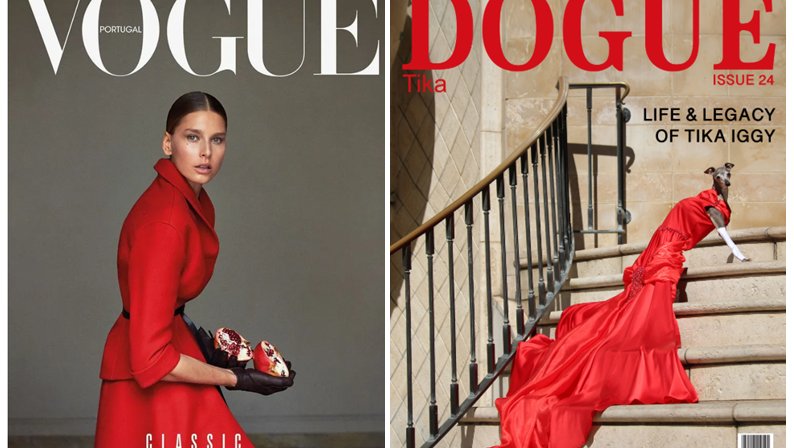 Vogue, Dogue, суд