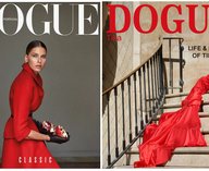 Vogue, Dogue, суд