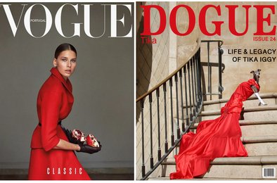 Vogue, Dogue, суд