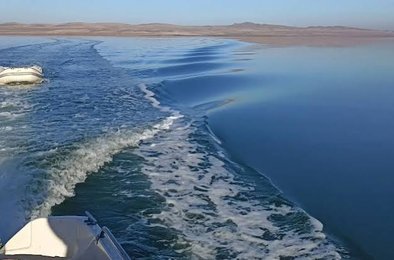 бактерии, озеро, Шира, микробиота, экология