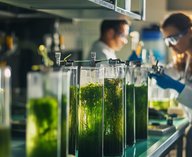 биопластик, биоразлагаемый, сельхозотходы, Германия, PBS