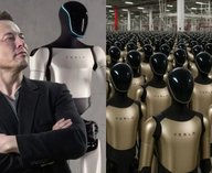 Маск, роботы, технологии, автоматизация, интеллект