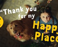 собака, ролик, фонд, семья, праздник