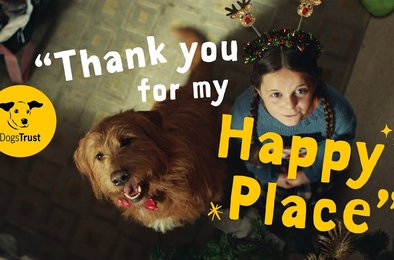 собака, ролик, фонд, семья, праздник