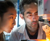 композит, материал, керамика, прочность, технология