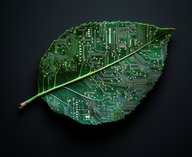 электроника, датчики, полимеры, нанопроводы, протезы