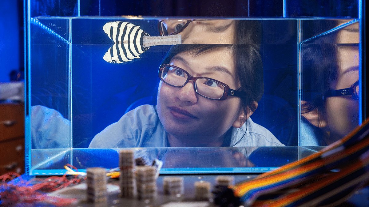 роботы, робототехника, материалы, технологии, модули