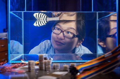 роботы, робототехника, материалы, технологии, модули