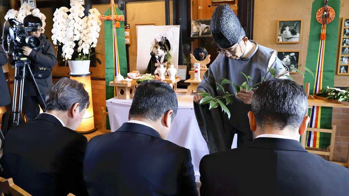 Япония, кошка, железнаядорога, вокзал, Нитама