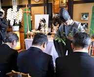 Япония, кошка, железнаядорога, вокзал, Нитама