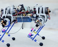 робот, ученые, биомеханика, эволюция, бег