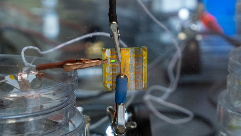 оптическийкомпьютер, светодиоды, технологии, россия, инновации