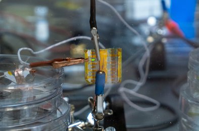 оптическийкомпьютер, светодиоды, технологии, россия, инновации