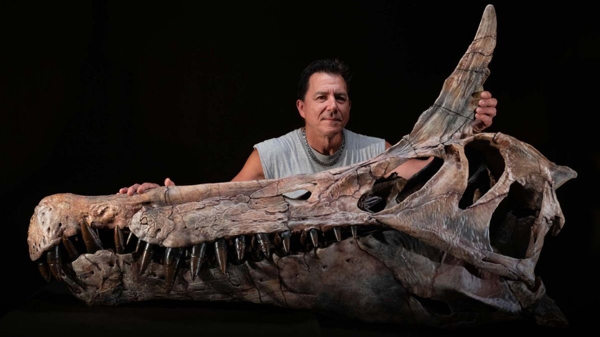 спинозавр, Сахара, динозавр, палеонтология, окаменелости