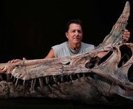 спинозавр, Сахара, динозавр, палеонтология, окаменелости