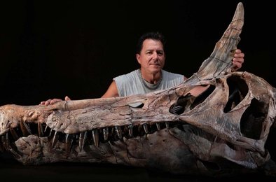 спинозавр, Сахара, динозавр, палеонтология, окаменелости