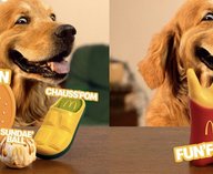 McDonalds, игрушки, собаки, франция, питомцы