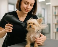 грумеры, рерайтеры, профессии, классификатор, ИТ